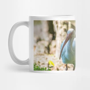 American white ibis Mug